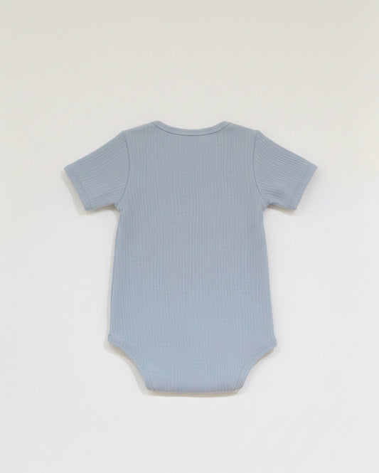 Baby Bodysuit Short/Blueberry